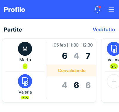 Partite profilo IT.png